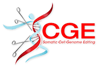 CGE Image