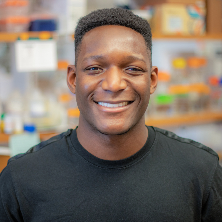 Nathan Bamidele