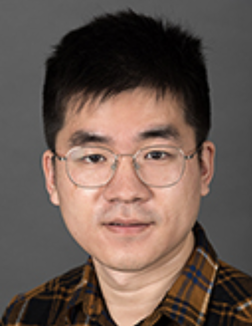 Headshot of Xin Yang