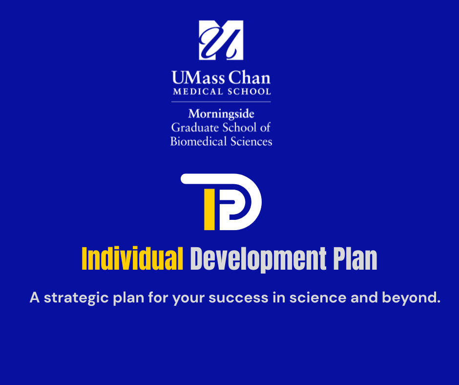 Individual Development Plan Image