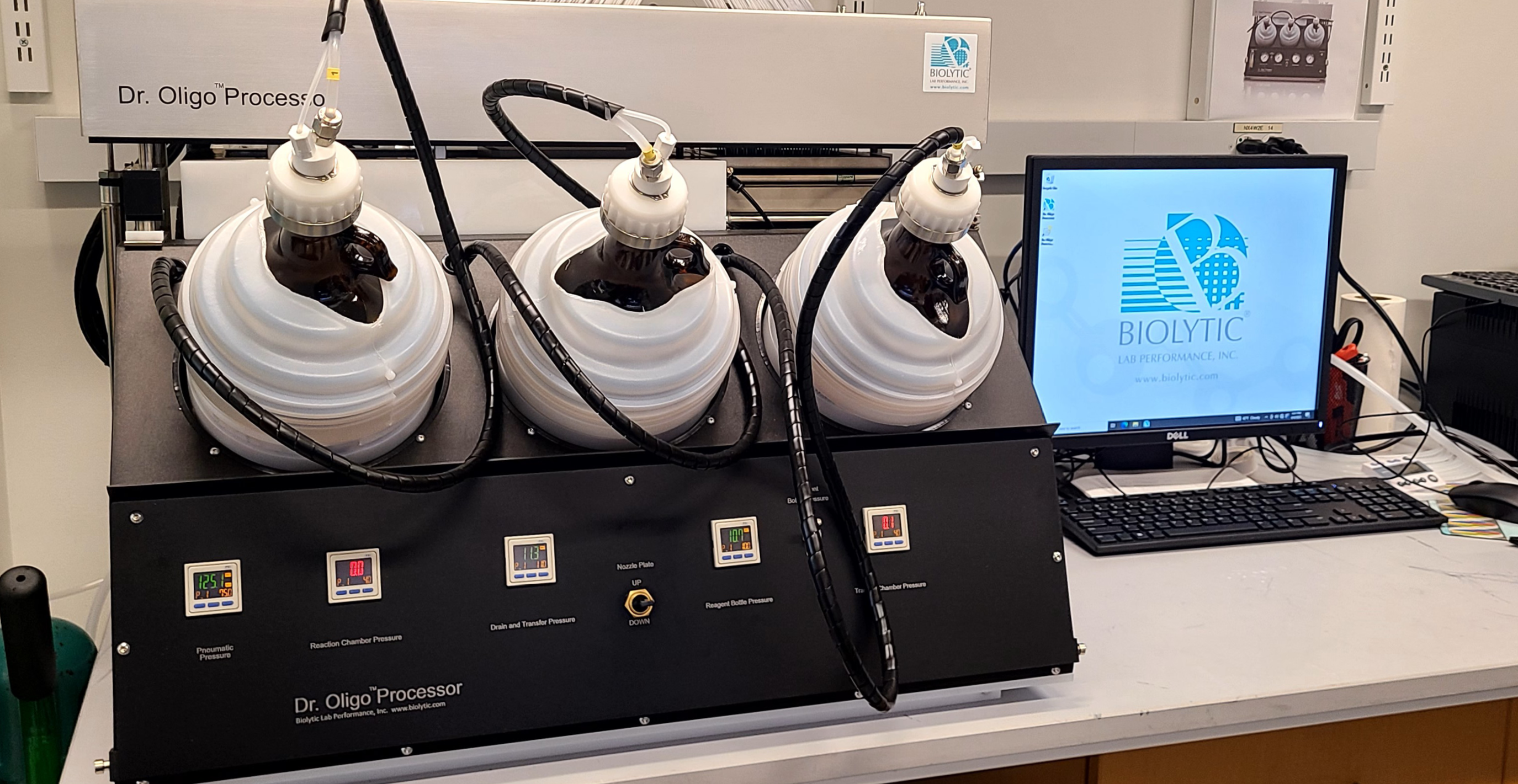 Dr Oligo Processor