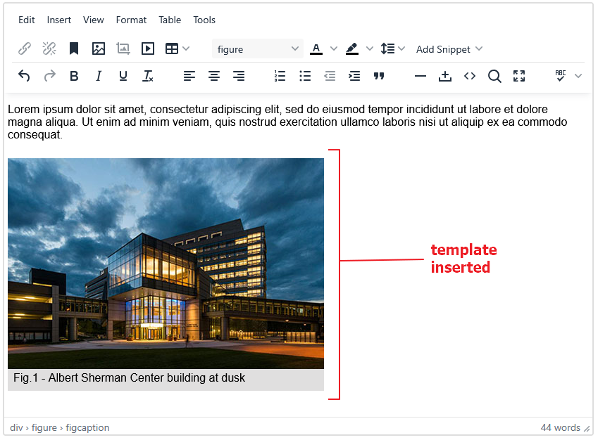 WYSIWYG editor