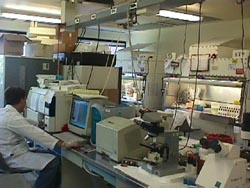 biotech2_lab2