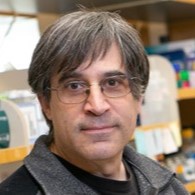 Paul Kaufman
