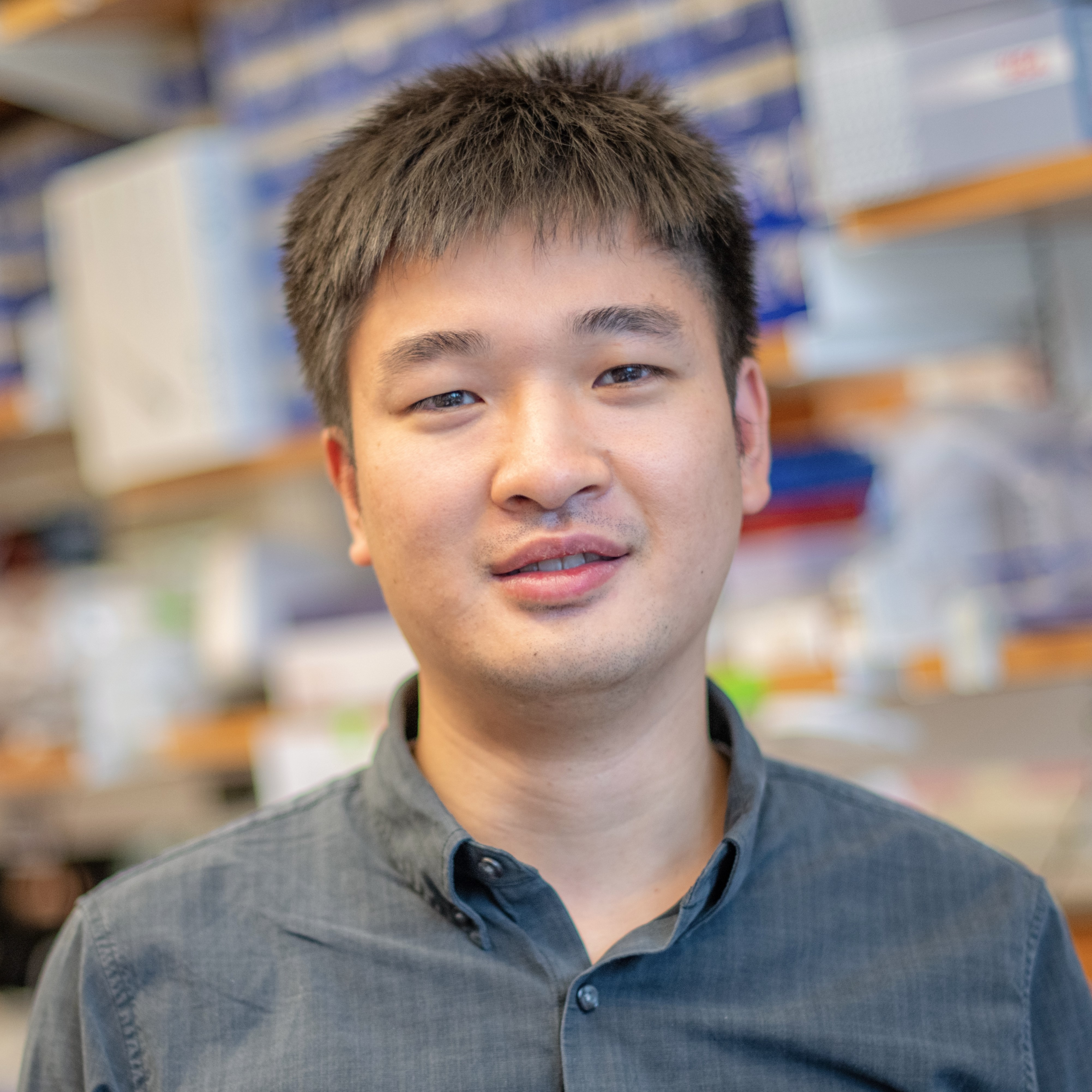 Qi Tang, PhD