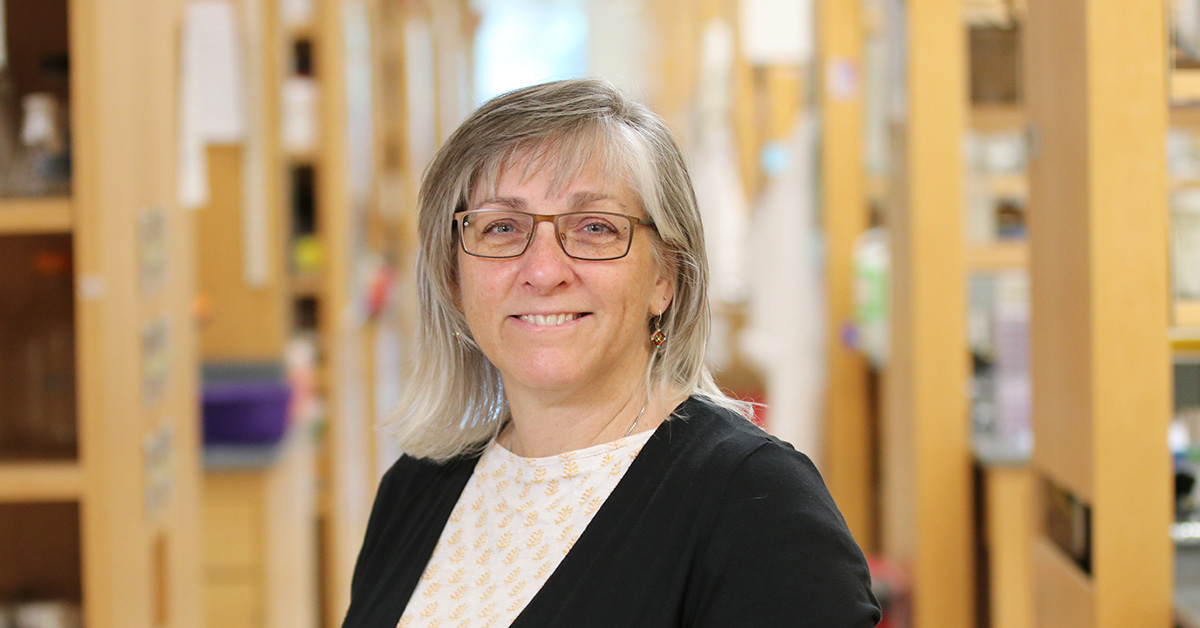 Ann Moormann, PhD, MPH