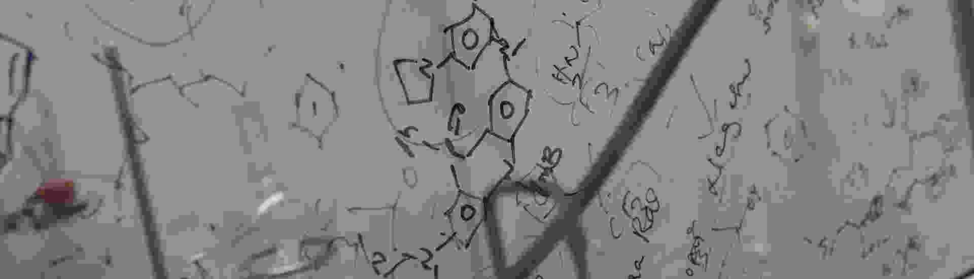 research_top_04.jpg