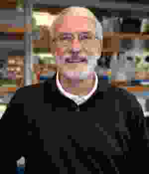 Dale Greiner