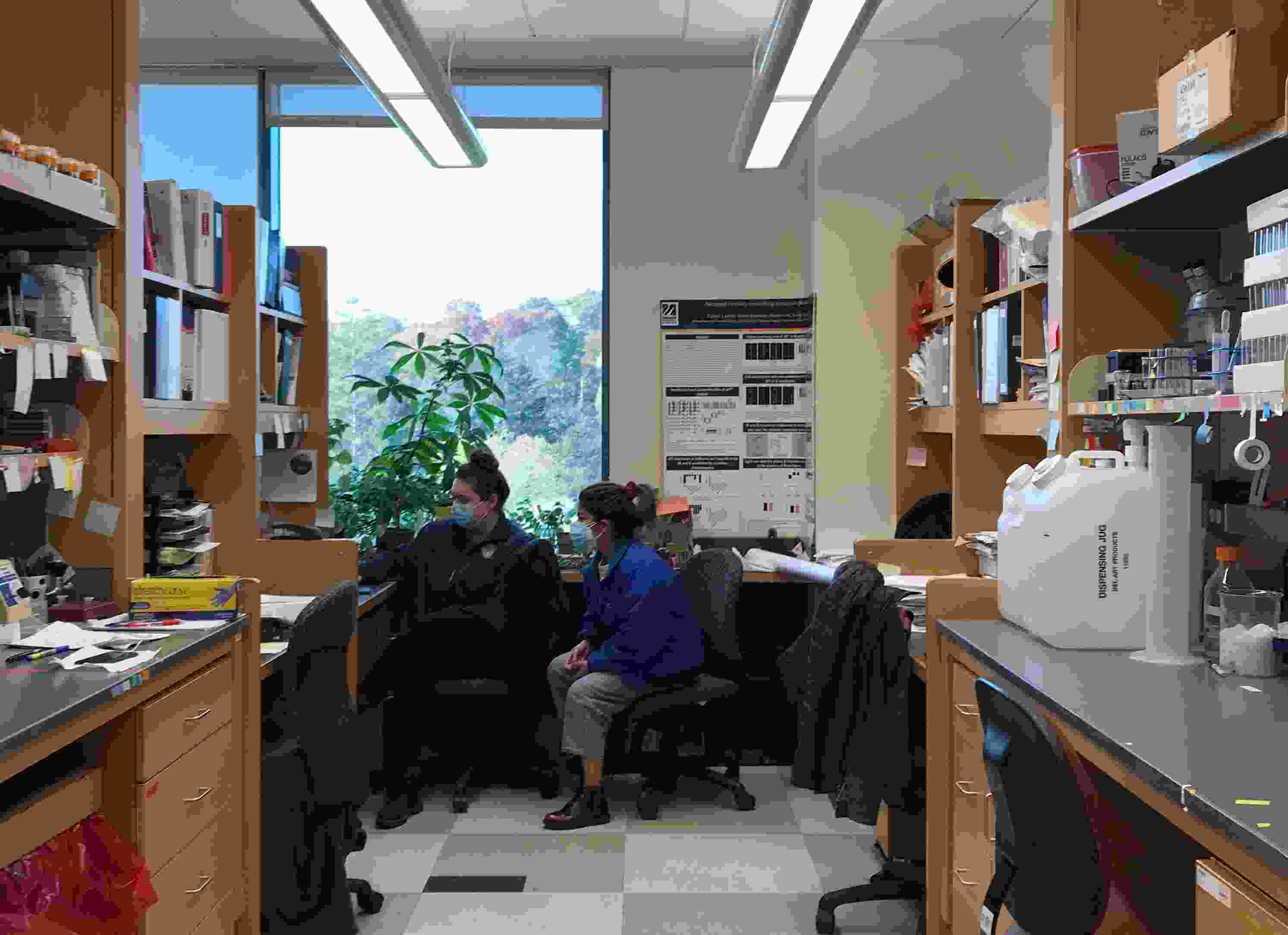4_labpic.jpeg