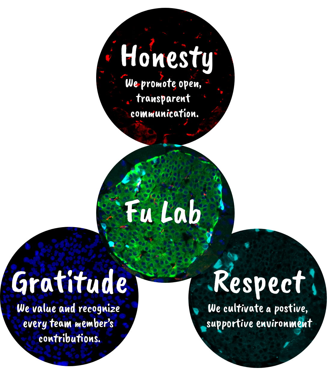 Honesty, Gratitude and Respect image