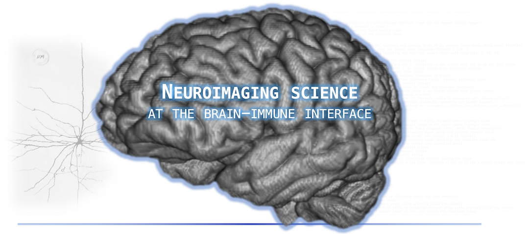 A picture of a brain with other stylized elements
