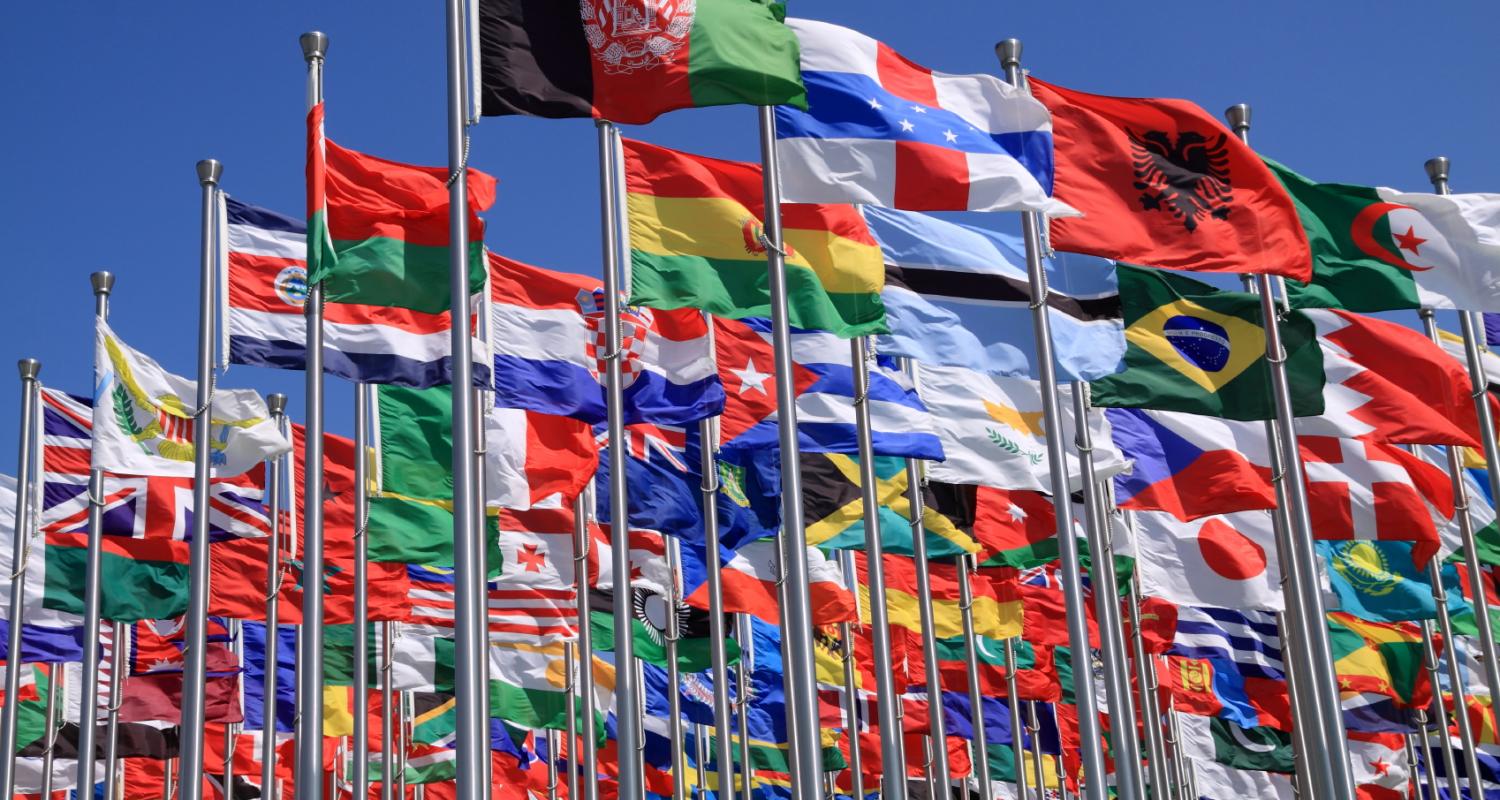 ISO Staff 8-19-2014 Immigration Services