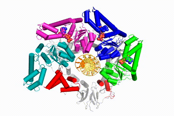 top_view_multiple_hydrolyses1_test2-3.gif