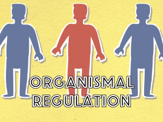  ORGANISMAL_ICON.png