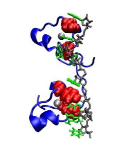 Massi Lab image.png