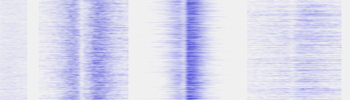 Gene expression_tile.jpg