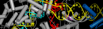Genomeediting_tile.jpg