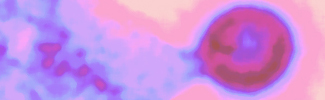Infection and disease_tile.jpg