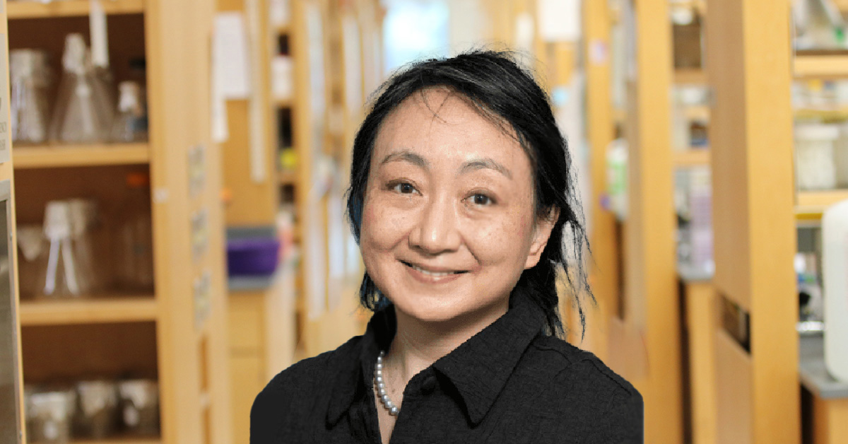 Jennifer Wang, MD