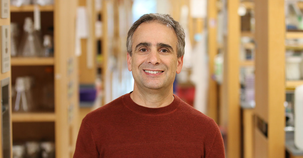 Neal Silverman, PhD