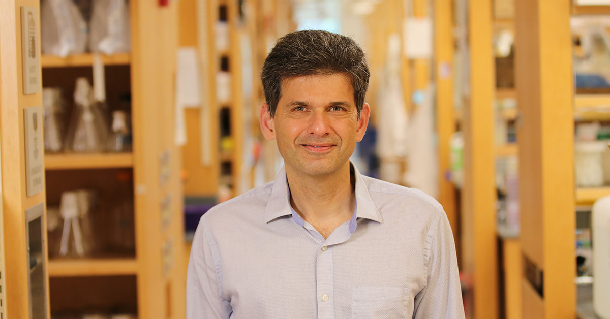 Sanjay Ram, MD