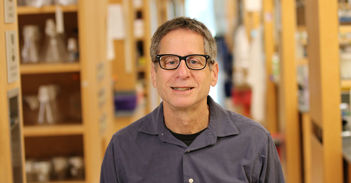 Stuart Levitz, MD