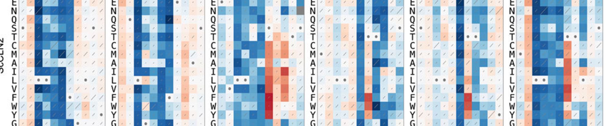 research slider_pryciak.png