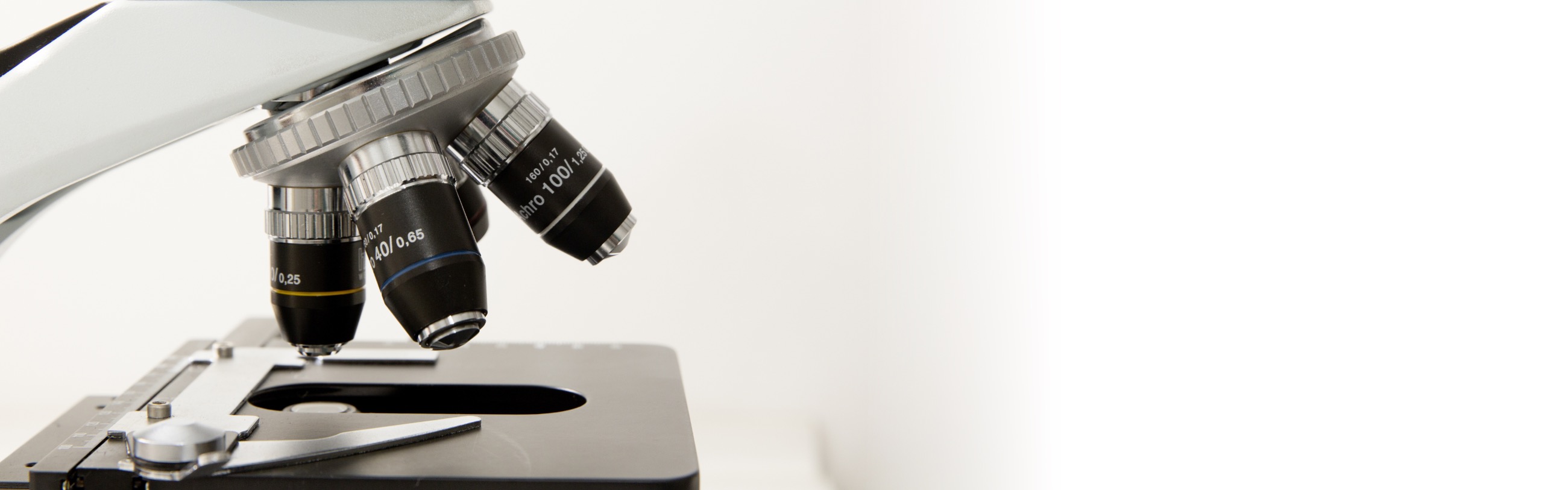 microscope nosepiece showing the stage and objective lenses above