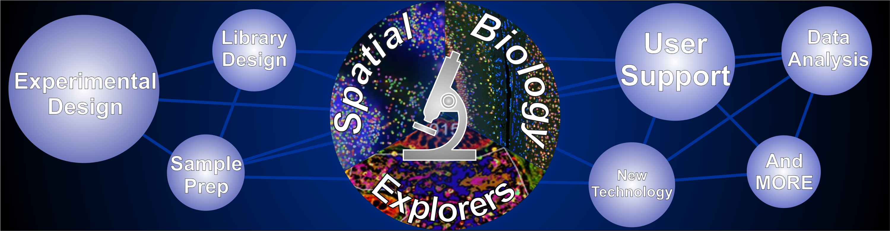 Spatial Biology Explorers header.jpg