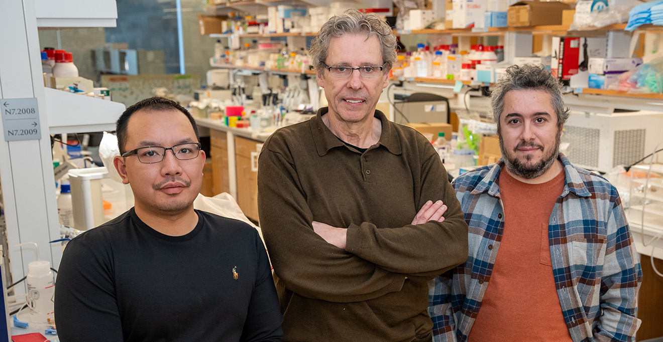 Timmy Le, Gilles Martin and Pablo Gimenez-Gomez pictured in the Martin lab.