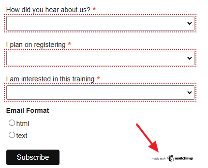 depicting how Siteimprove add a red border and red color overlay to display where issues are located on a page, also noting this is a mailchimp form