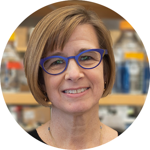 Leslie Shaw, PhD