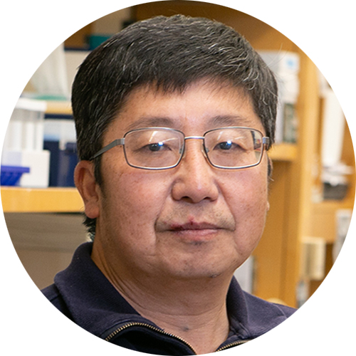 Yong-Xu Wang, PhD