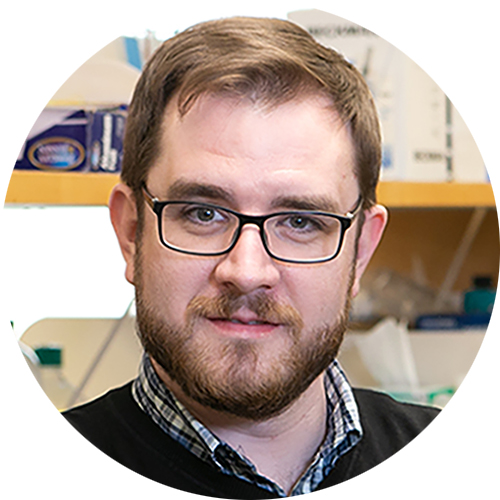 Will Flavahan, PhD